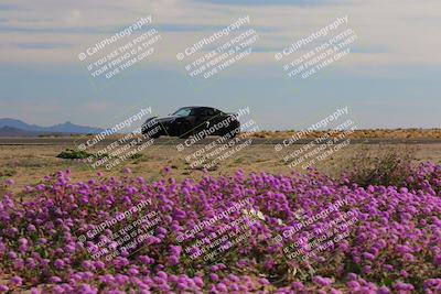 media/Jan-08-2023-SCCA SD (Sun) [[8f6a5b9391]]/Intermediate Group/Session 2 (Short Straight)/